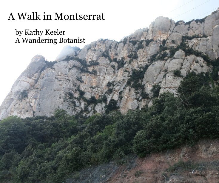 View A Walk in Montserrat by Kathy Keeler A Wandering Botanist