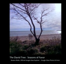 The David Tree:  Seasons of Favor book cover