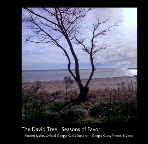 Bekijk The David Tree:  Seasons of Favor op Roxann Riskin, Official Google Glass Explorer