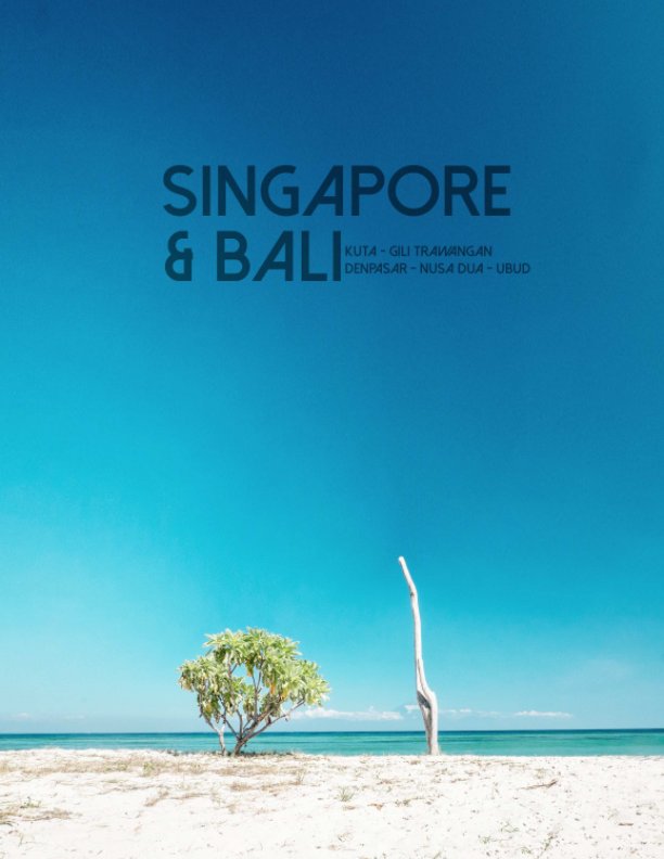View Singapore & Bali by Alex Worobjow