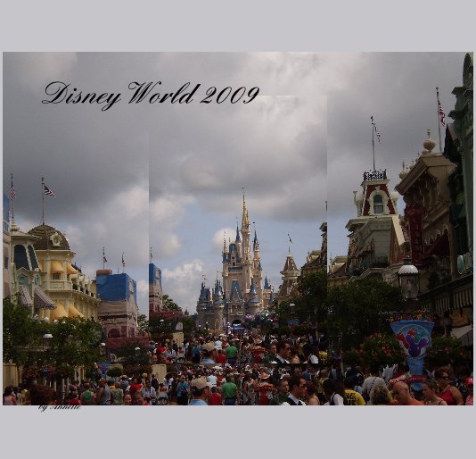 Disney World 2009 nach Annette Steffke anzeigen