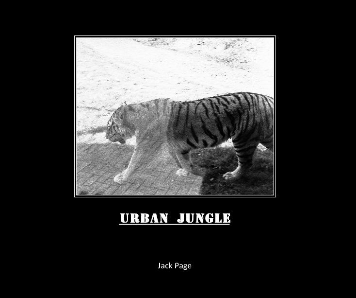 View URBAN JUNGLE by Jack Page