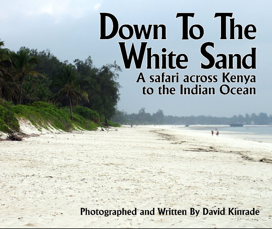 View Down To The White Sand by David Kinrade