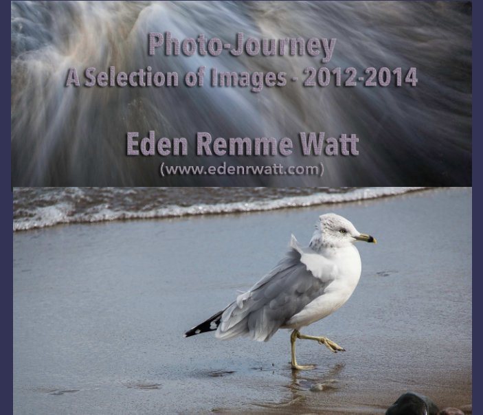 View A Selection of Images 2012-2014 by Eden Remme Watt