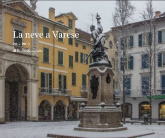 La neve a Varese book cover