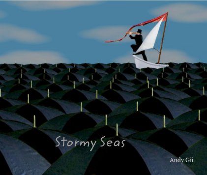 Stormy Seas book cover