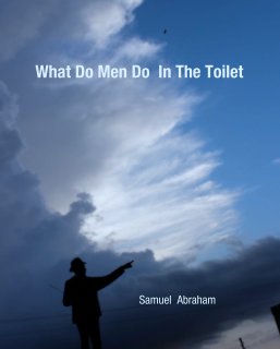 What Do Men Do  In The Toilet book cover