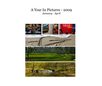 A Year In Pictures - 2009 January - April book cover