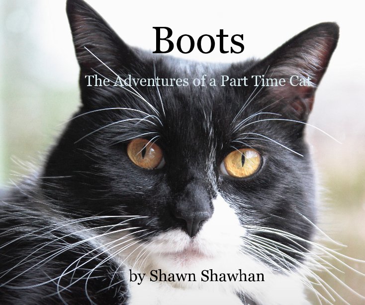 View Boots by Shawn Shawhan