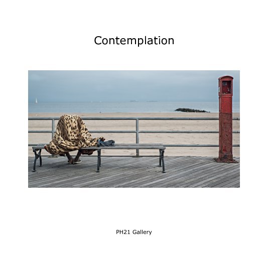 View Contemplation by PH21 Gallery