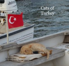 Cats of Turkey book cover