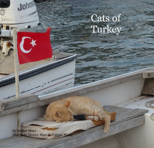 Ver Cats of Turkey por Denice Marr photos by Denice Marr & Joanne Wong