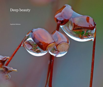 Deep beauty book cover