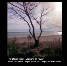 The David Tree:  Seasons of Favor book cover