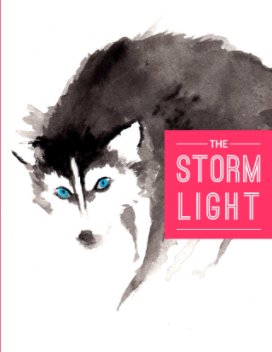 The Stormlight Mag book cover