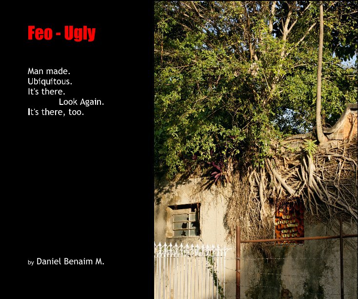 Ver Feo - Ugly por Daniel Benaim M.