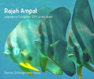 Rajah Ampat book cover