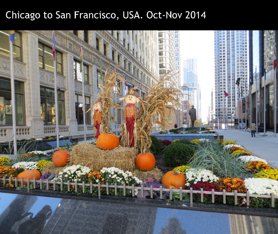 Visualizza Chicago to San Francisco, USA. Oct-Nov 2014 di Simon Chu