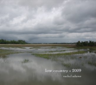 low country 2009 book cover