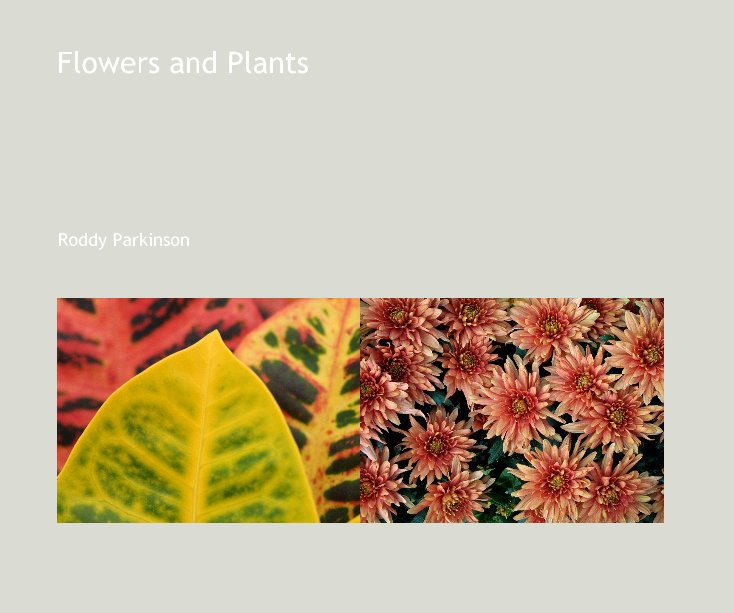 Ver Flowers and Plants ll por Roddy Parkinson