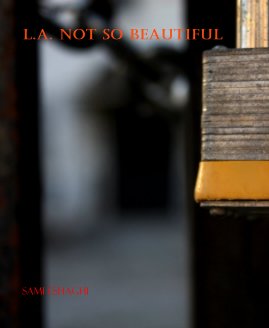 L.A. NOT SO BEAUTIFUL book cover