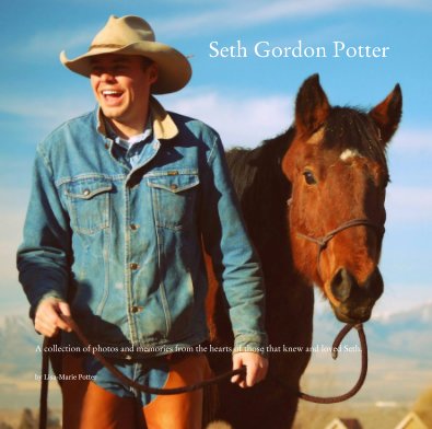 Seth Gordon Potter book cover