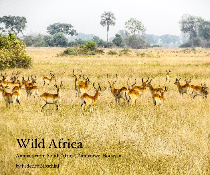 Ver Wild Africa por Federico Moschini