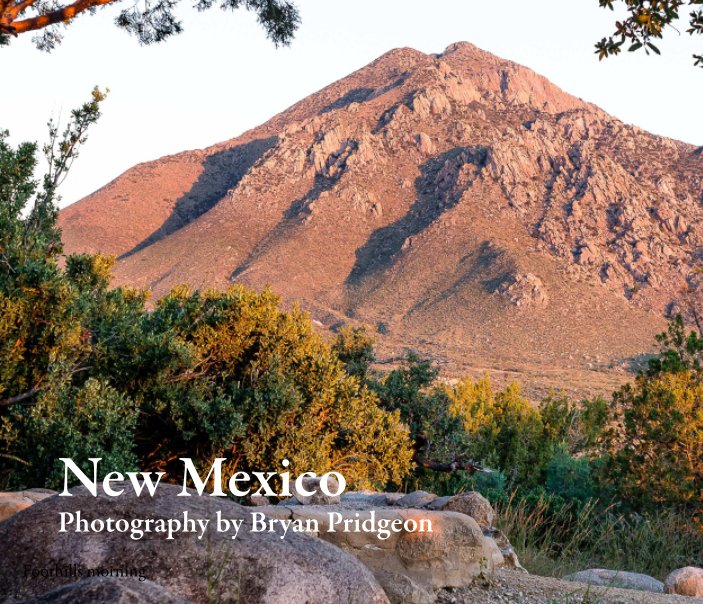 View New Mexico by Bryan Pridgeon