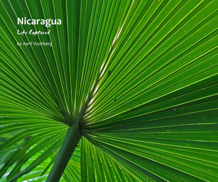 View Nicaragua by April Voorberg