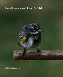 Feathers and Fur, 2014 book cover