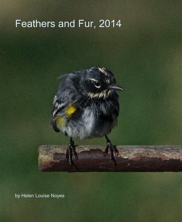 Feathers and Fur, 2014 nach Helen Louise Noyes anzeigen