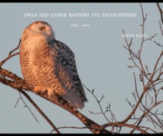 OWLS AND OTHER RAPTORS I'VE ENCOUNTERED book cover