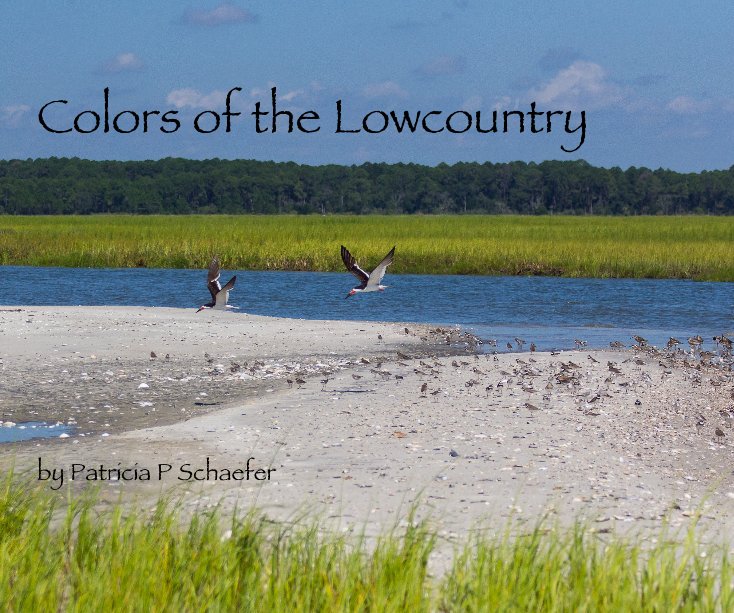 View Colors of the Lowcountry by Patricia P Schaefer by Patricia P Schaefer