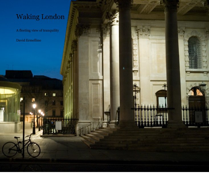 View Waking London by David Ermellino