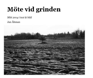 Möte vid grinden - version 2 book cover