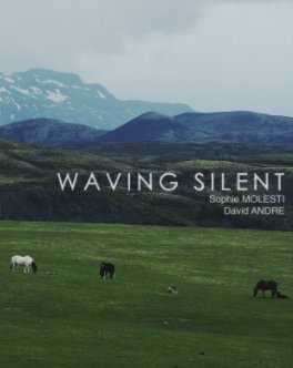 Waving Silent book cover