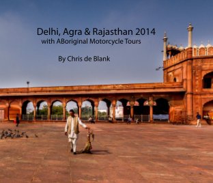 Delhi, Agra & Rajasthan 2014 book cover