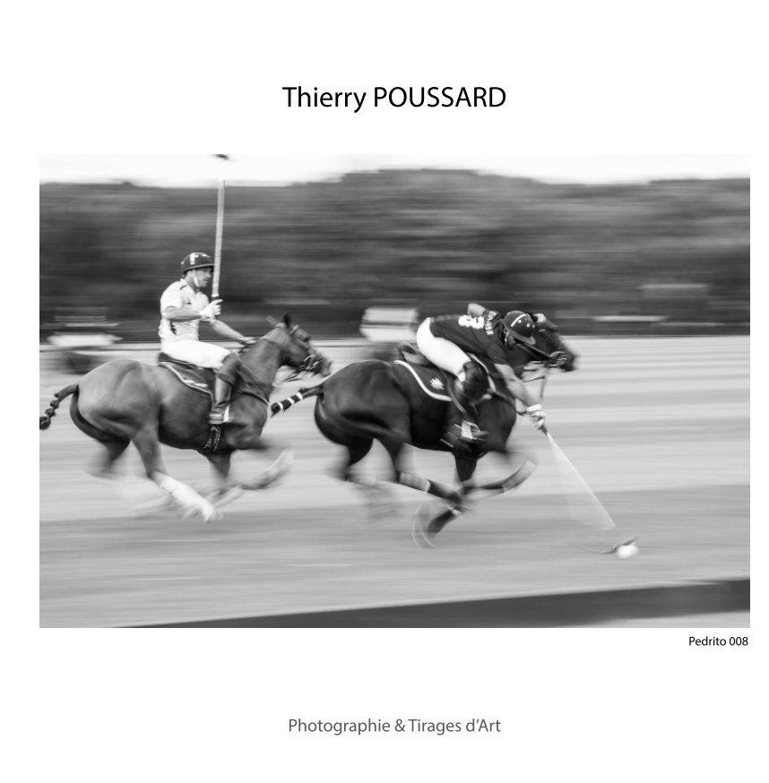 Ver Photographie & Tirages d'Art por Thierry POUSSARD