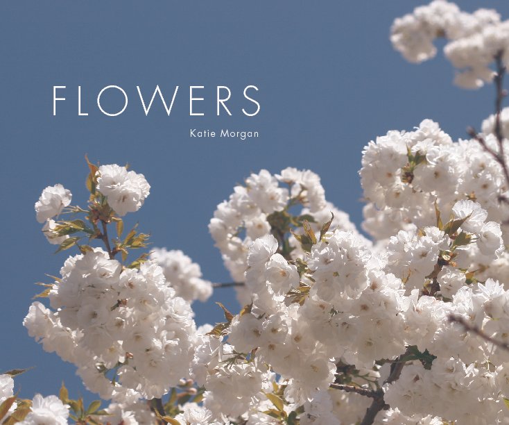 Ver Flowers por Katie Morgan