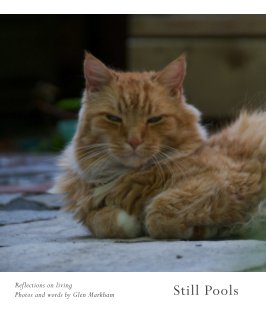 Still Pools book cover