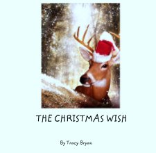 THE CHRISTMAS WISH book cover