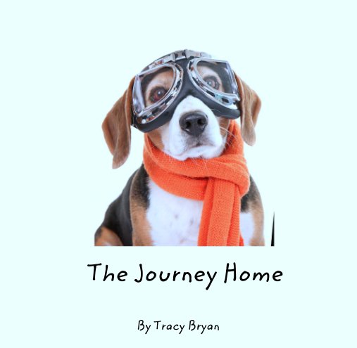 View The Journey Home by Tracy Bryan