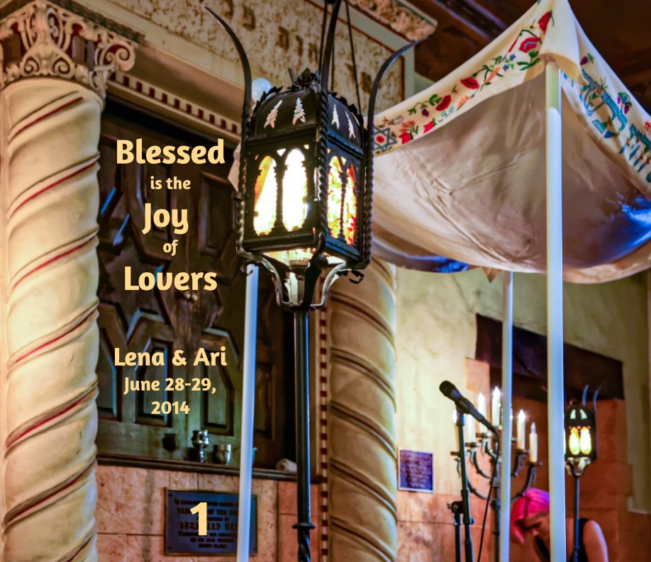 View Blessed is the Joy of Lovers: Volume One by Eric Levin