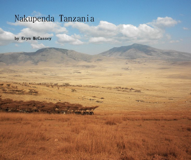 View Nakupenda Tanzania by Eryn McCassey