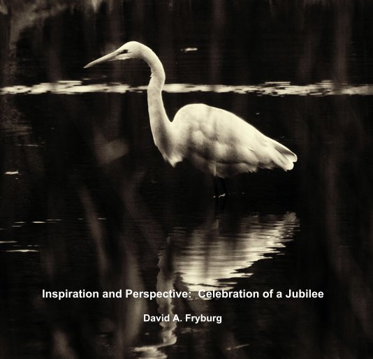 View Inspiration and Perspective: Celebration of a Jubilee by David A. Fryburg