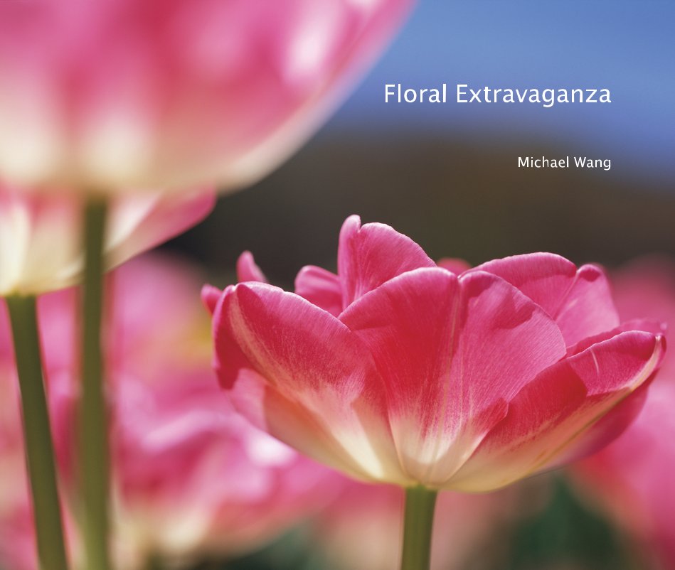 Floral Extravaganza nach Michael Wang anzeigen