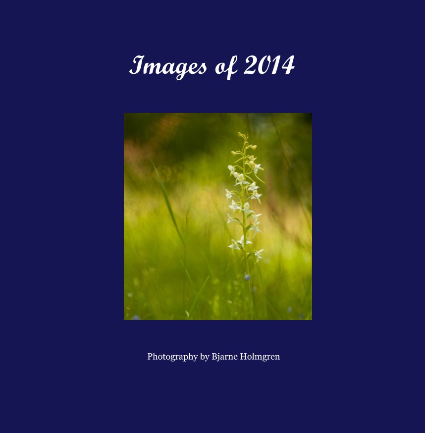 View Images of 2014 by Bjarne Holmgren