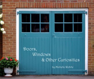Doors, Windows & Other Curiosities book cover