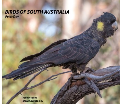 Birds of South Australia (Large) book cover
