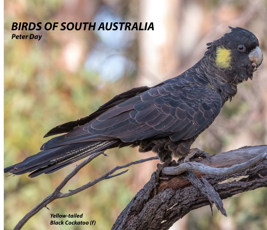 View Birds of South Australia (Large) by Peter Day
